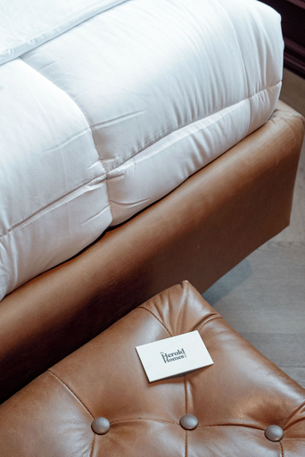 Room 5, The Midnight Bloom Suite, Mexico City