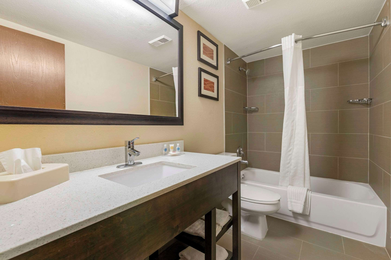 Bathroom 4, Comfort Inn & Suites Indianapolis Northwest - College Park, Indianapolis