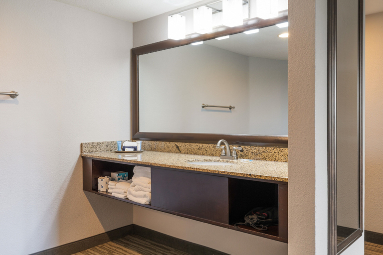 Bathroom 4, Branson Hillside Hotel, Taney