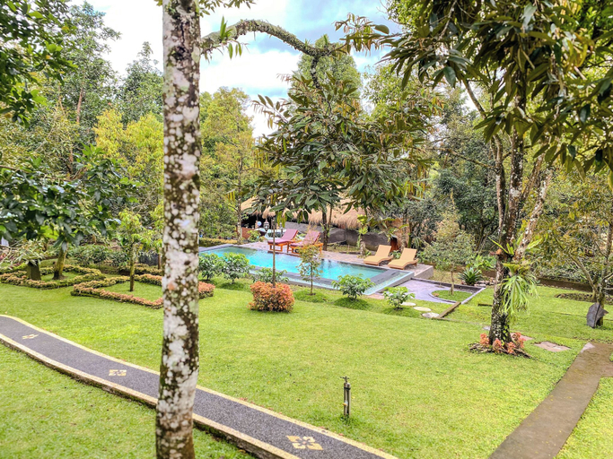 Outdoor pool 4, Wimala Farm House, Buleleng