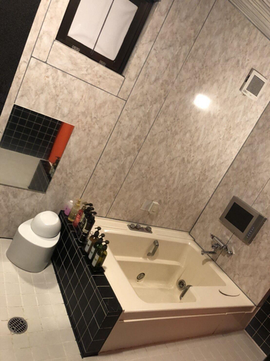 Bathroom 2, Alohain Yonago, Sakaiminato