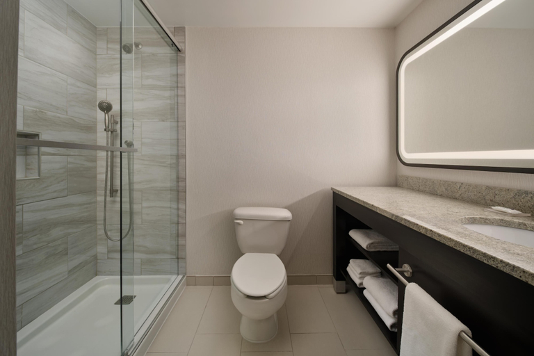 Bathroom 4, Hyatt Regency Suites Atlanta Northwest, Cobb