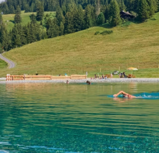 3, Little Chalet Piguet, Aigle