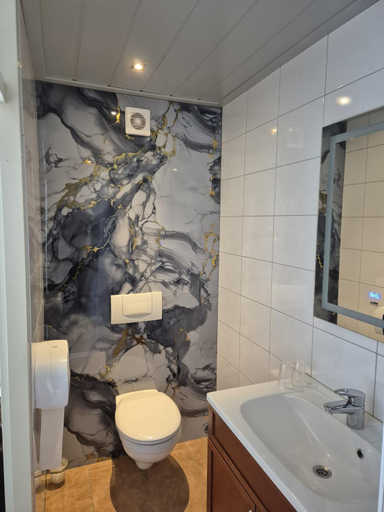 Bathroom, Hotel,cafe,biljart POT, Groenlo
