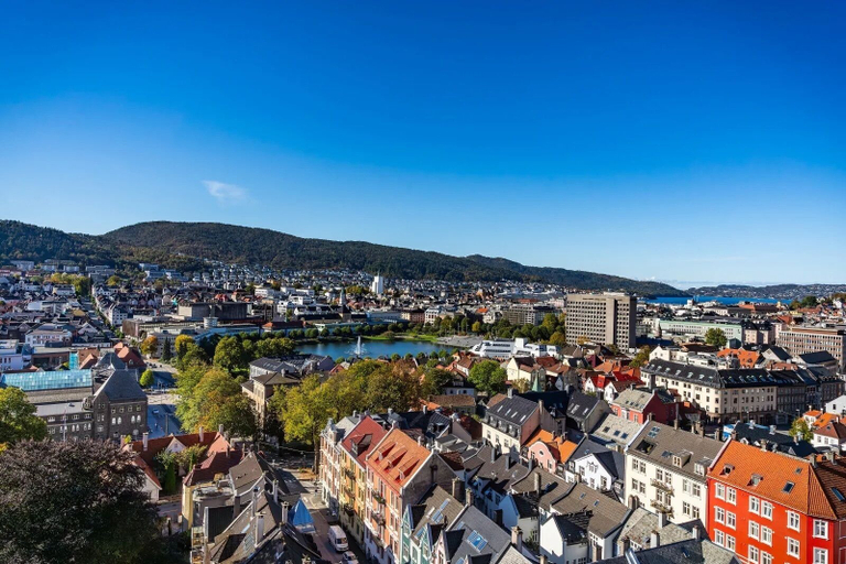 Miscellaneous 3, Stay Panorama - Best view in Bergen, Bergen