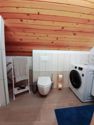 Bathroom 2, Veronica's place in the mountains, Cerklje na Gorenjskem