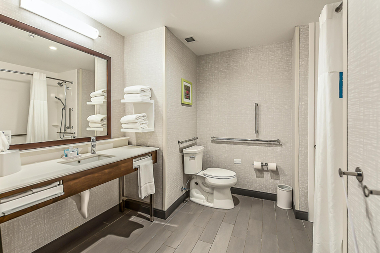 Bathroom 2, Hampton Inn & Suites Howell, Livingston