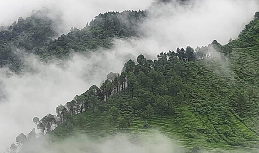 Miscellaneous 2, Richa Cottage and Home Stay, Nainital