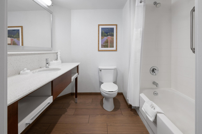 Bathroom 4, Hampton Inn Frostburg, Allegany