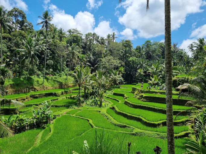 Others 4, Gong Wi Cottages, Karangasem