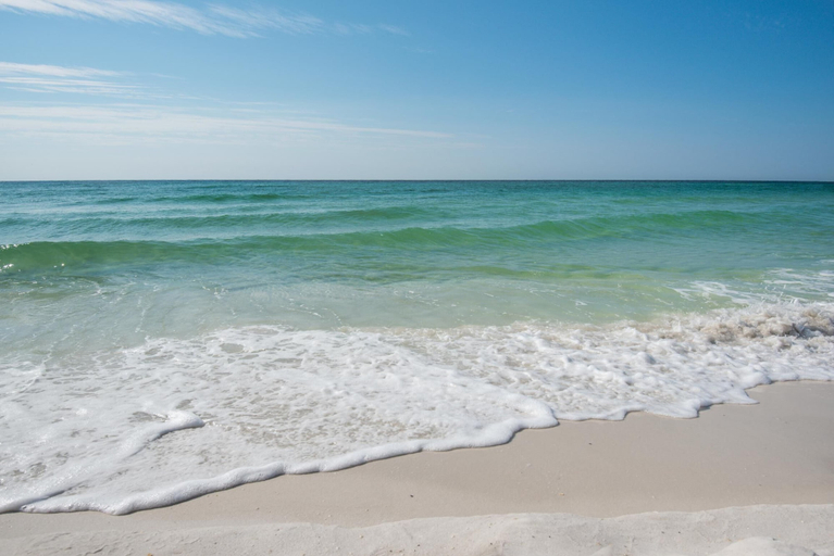 Others 1, Emerald Dolphin Unit 650, Escambia