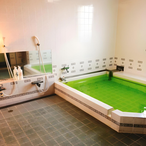 Bathroom 4, Sun City Katsuta Hotel, Hitachinaka