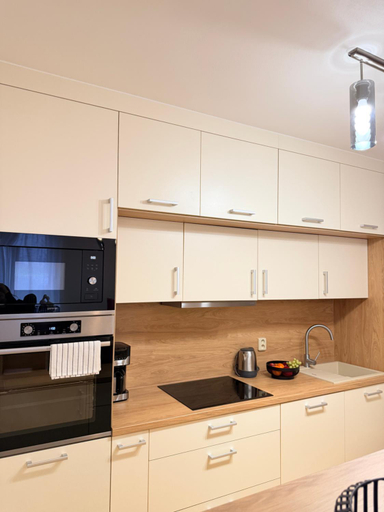 Others 5, FamilyVilla, new 4 Luxury Big Apartments, parking, Praha 5