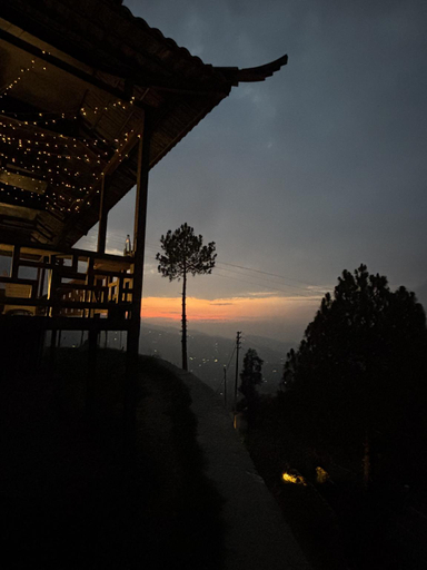 Others 5, The Wild Sakura, Nainital