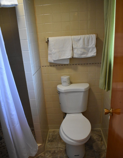 Bathroom 5, Economy Inn Cadillac, Wexford