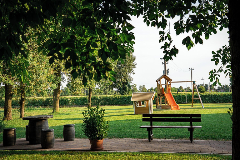Children's area 4, LE VIGNE MOROSINA, Treviso