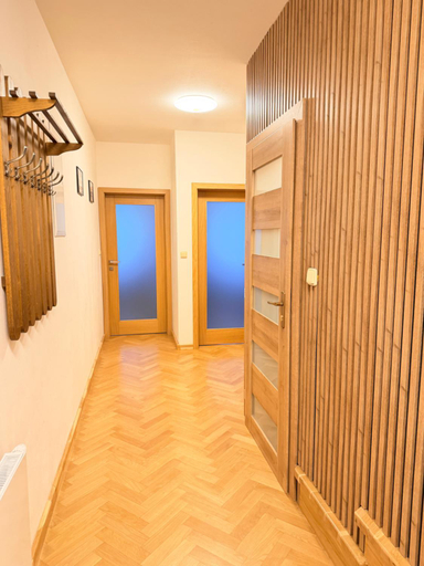 Others 4, FamilyVilla, new 4 Luxury Big Apartments, parking, Praha 5