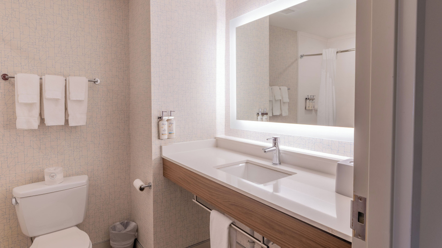 Bathroom, Holiday Inn Express & Suites Macon - I-475 By IHG, Bibb