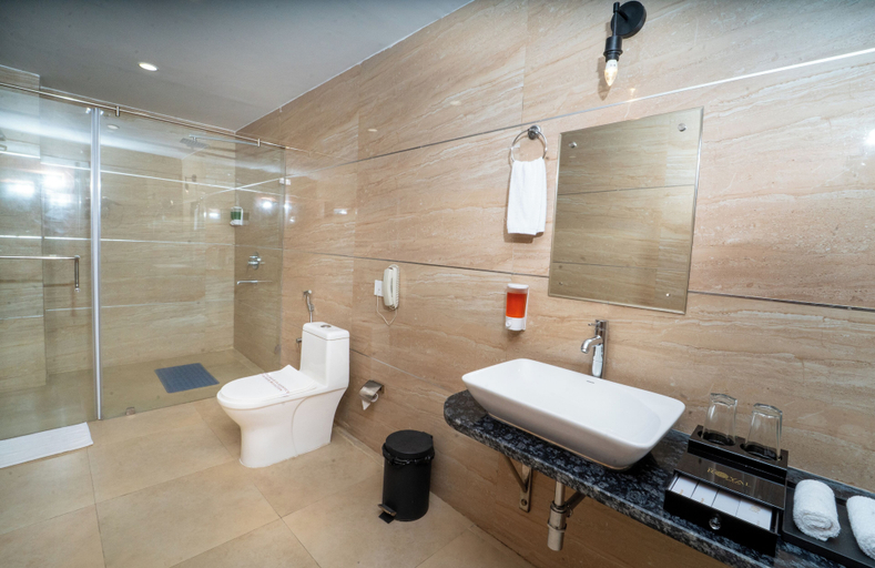 Bathroom 5, The Royal Bihar, Patna
