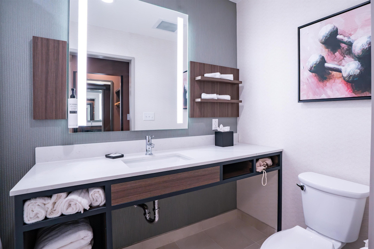 Bathroom 4, Hilton Garden Inn Hoover Birmingham, Jefferson