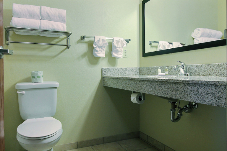 Bathroom 4, Cobblestone Inn & Suites - Carrington, Foster