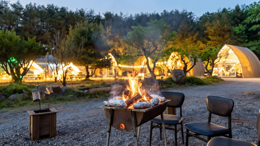 Others 4, Gangneung Wow Park Glamping, Gangneung