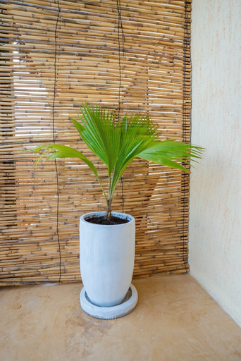 Interior detail 5, CZR Celebrate Zanzibar Rhythm, Kusini