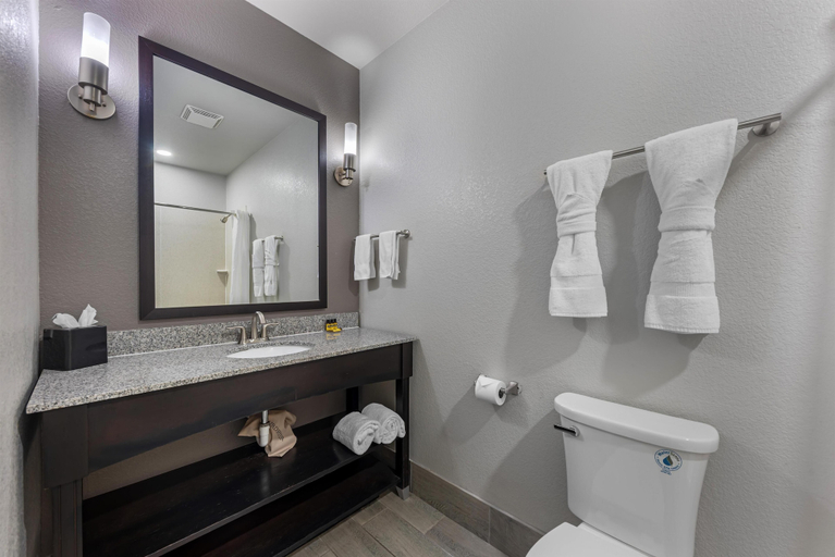 Bathroom 4, Best Western Plus Austin Airport Inn & Suites, Travis