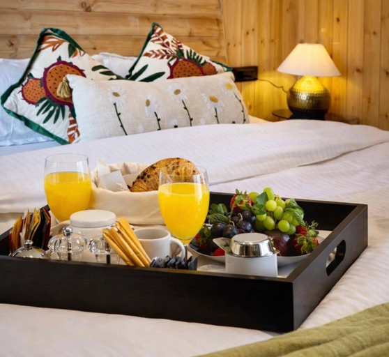 Room 5, Oakridge By The Aravali Story, Tehri Garhwal