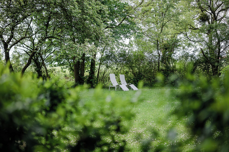 Property grounds 3, Fährhauslodges Natur in Sicht, Aurich