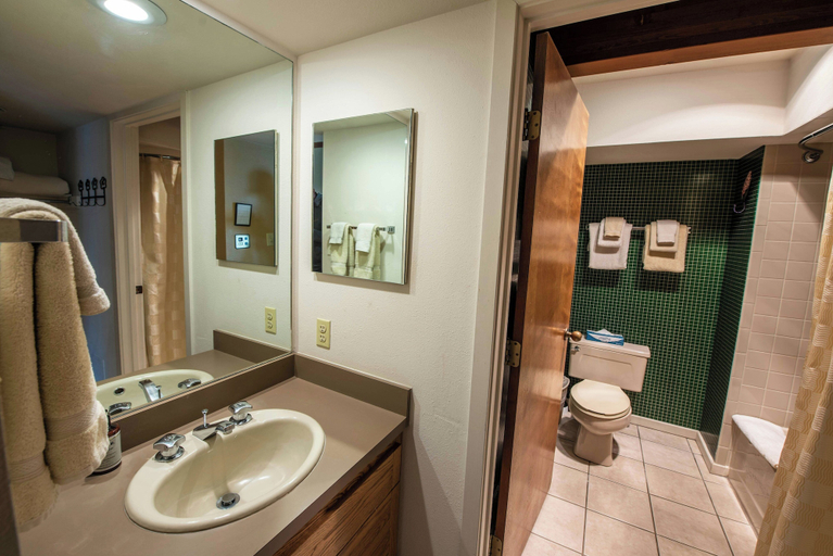 Bathroom 3, Crested Butte Mountain Resort Properties by Vail Resorts, Gunnison