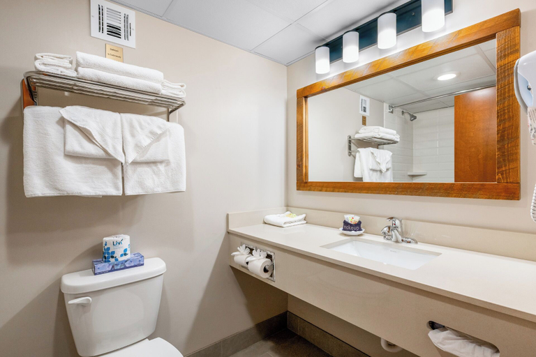 Bathroom 5, Lodge Of The Ozarks, Taney
