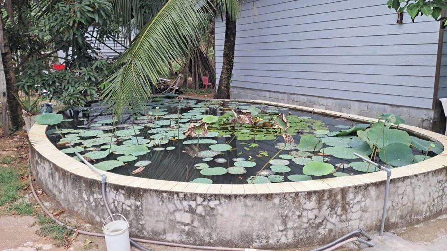 Property grounds 3, Khang Nguyen Homestay, Phú Quốc