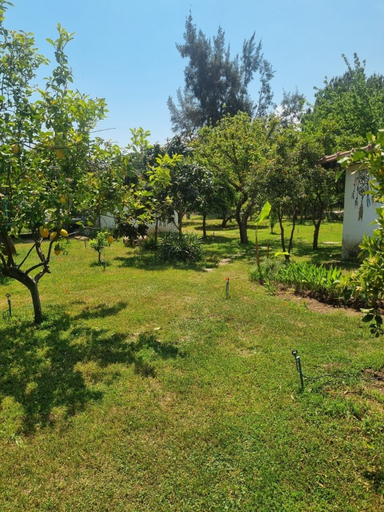 Property grounds, ŞAHMERAN PANSİON, Kemer