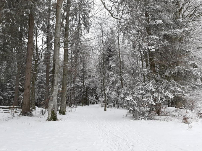 Others 5, Gasthof Zur Alten Post, Freyung-Grafenau