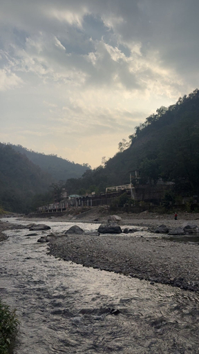 Miscellaneous, Birds the Jungle Retreat, Garhwal