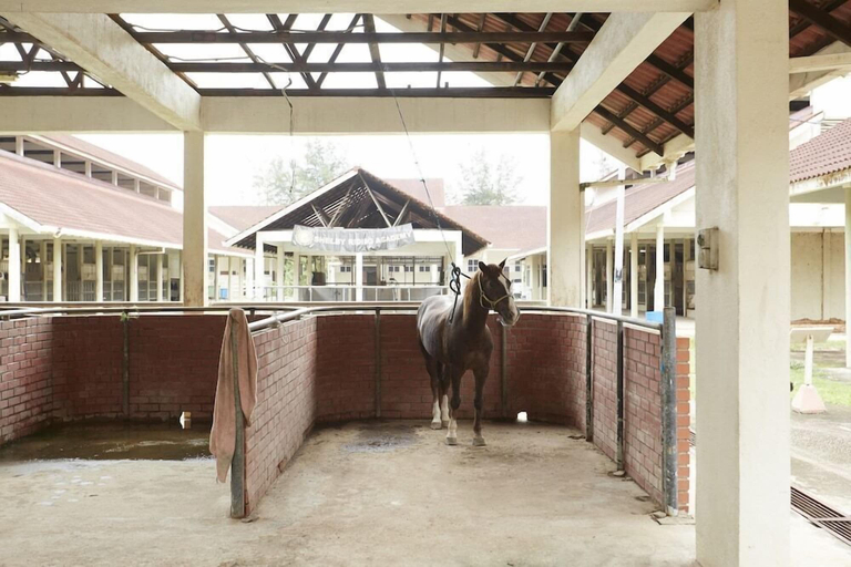 Miscellaneous 3, Terengganu Equestrian Resort, Kuala Terengganu