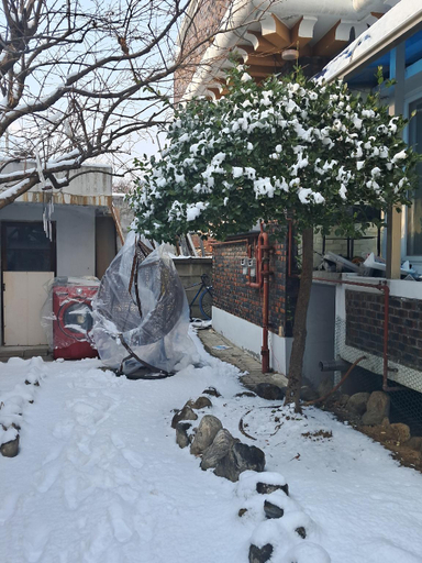 Others 3, Angel Aunt House, Wonju