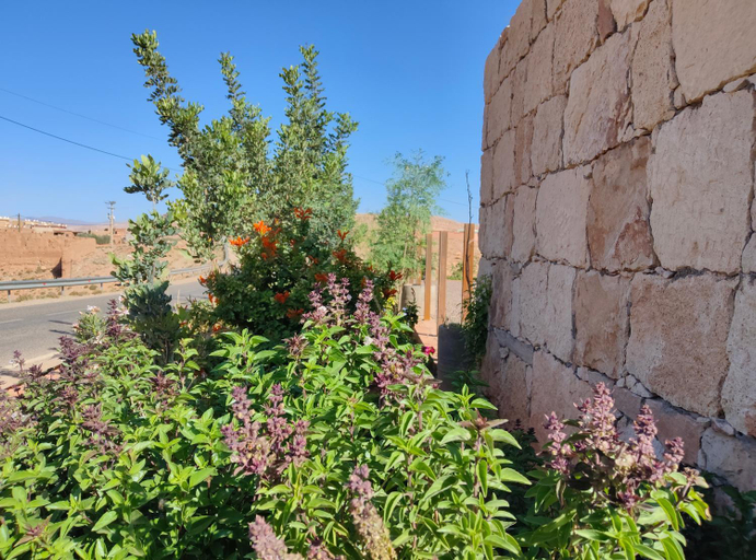 Others 5, Villa A'Kabar Guest House, Ouarzazate