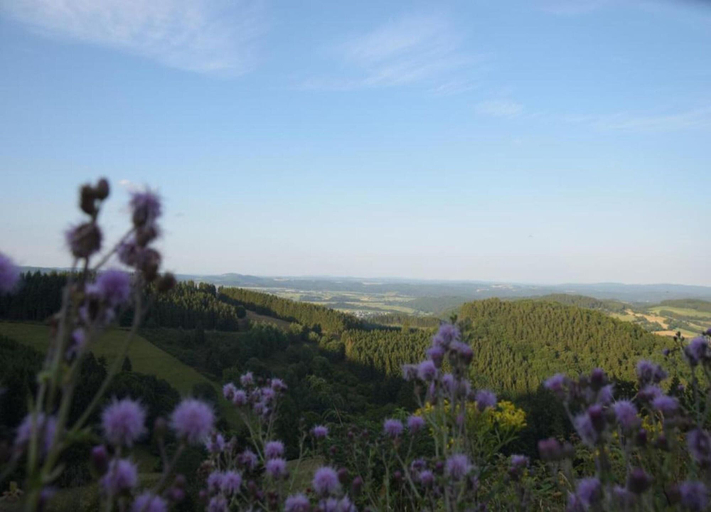 View from property 2, Neue Ferienwohnung mit Balkon in Medebach, Hochsauerlandkreis