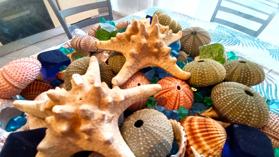 Food & Drinks, Europa 41, Imperia