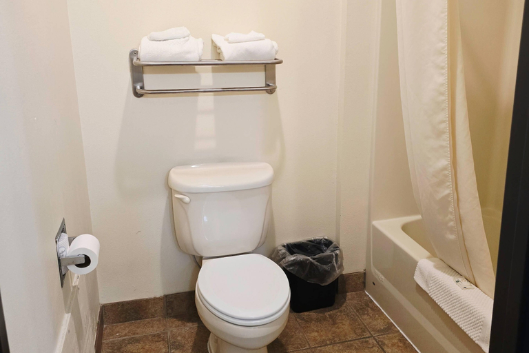 Bathroom 4, Quality Inn Durand I-69, Shiawassee