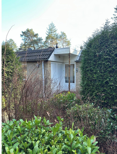 View from property 4, Spacious Ground-floor Apartment in Lochem, Lochem