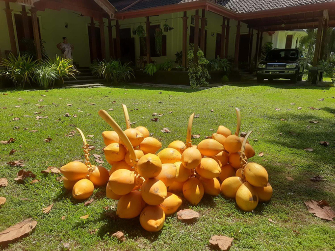 Food & Drinks 4, Mishthana Canal Resort, Bentota