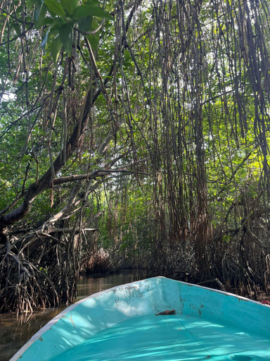 Sport & Beauty, Mishthana Canal Resort, Bentota