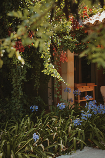 Exterior & Views 2, Rondaia Boutique Vineyard Stay – Mallorca, Tramuntana, Baleares