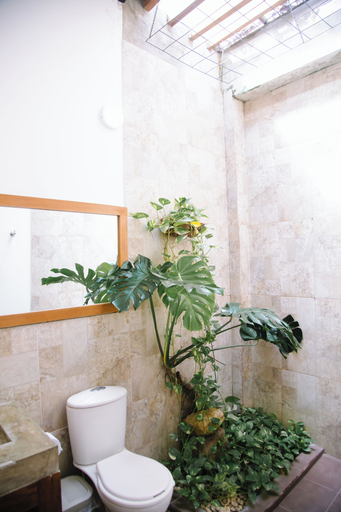 Bathroom 5, Hotel Palmas del Rio Mompox, San Zenón