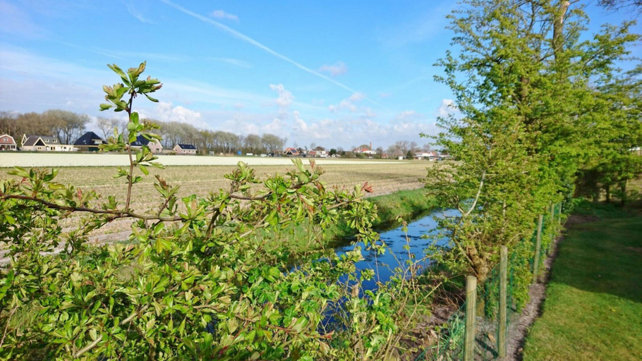 View from property 4, Fantastic Holiday Home by the sea, Zijpe