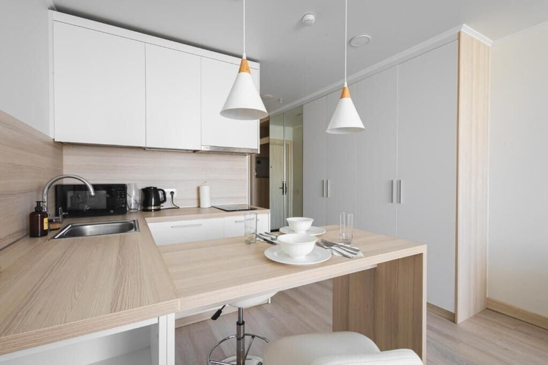 Private kitchen 5, Apartaments near Botanical Garden, Astana City