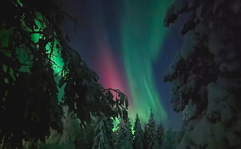 Others 5, Lapland Snow Moose, Kiruna